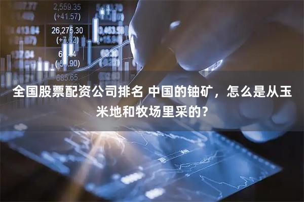 全国股票配资公司排名 中国的铀矿，怎么是从玉米地和牧场里采的？